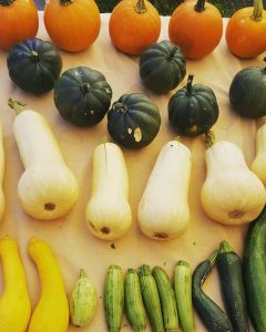 Growers Market Squash from Valle Encantado Farms